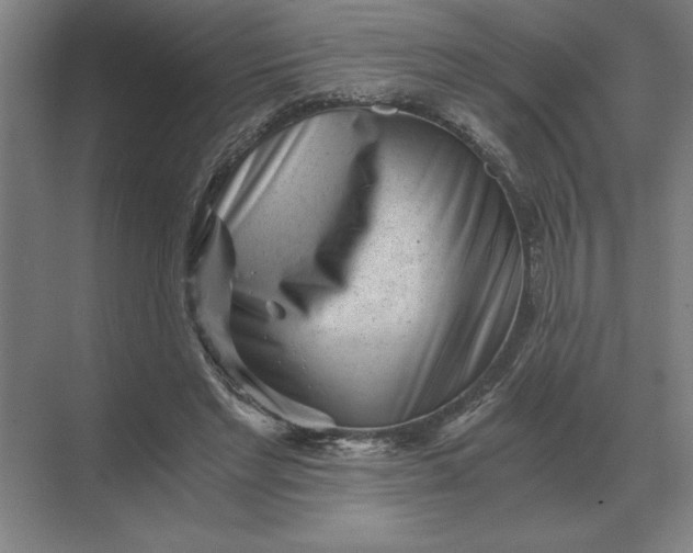 X0000068830493200605191903