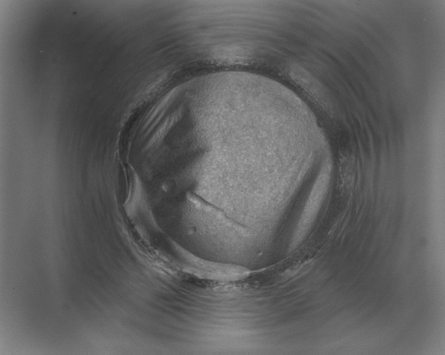 X0000068830494200605191903