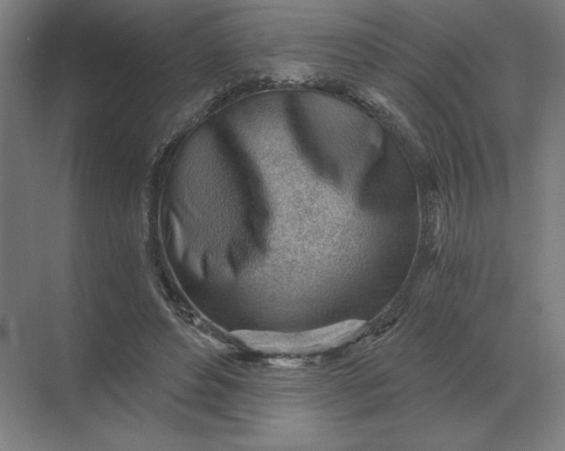 X0000068830496200605191902