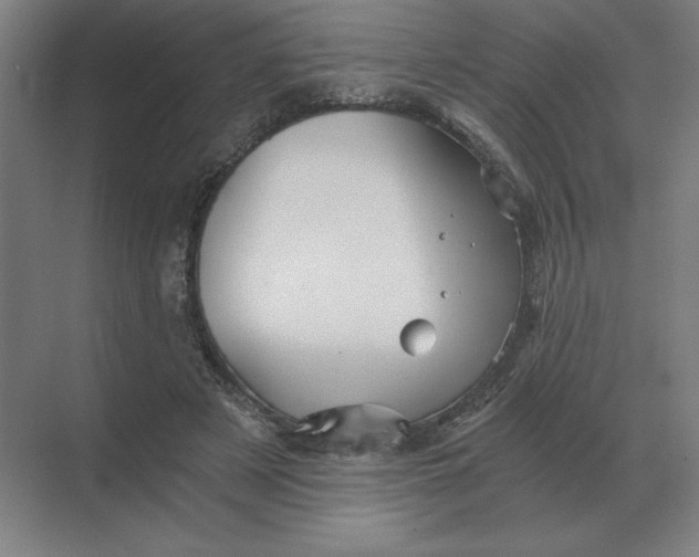 X0000068830497200605191902