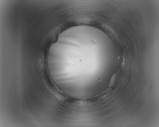 X0000068830498200605191902