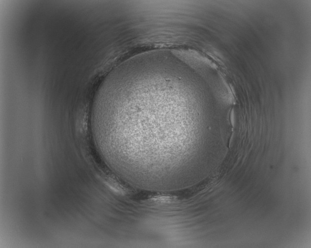 X0000068830499200605191902