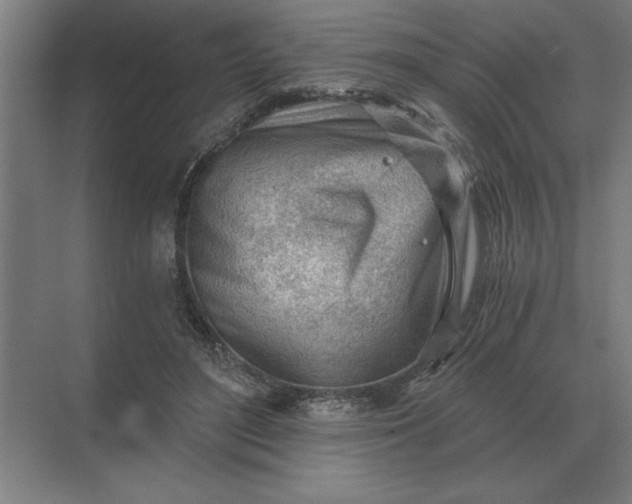 X0000068830500200605191902