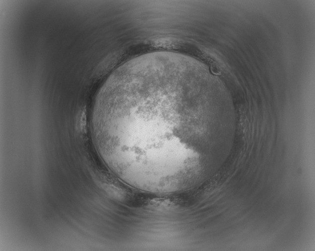 X0000068830502200605191902