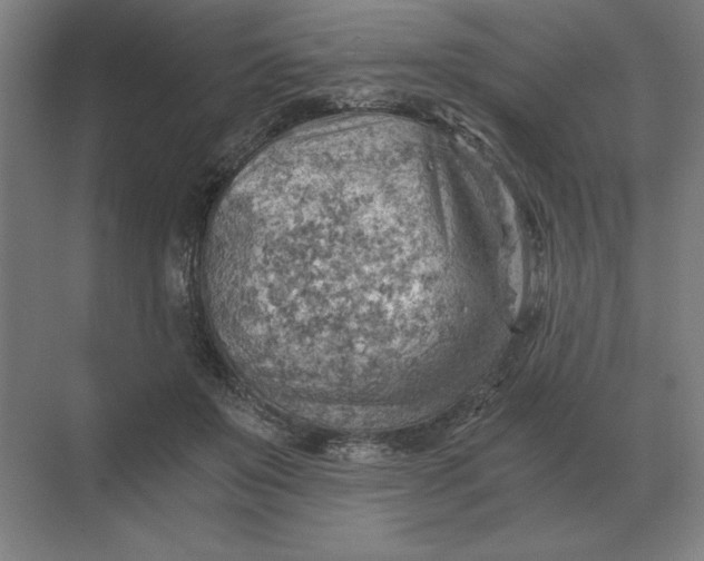 X0000068830503200605191902