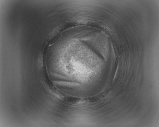 X0000068830504200605191902