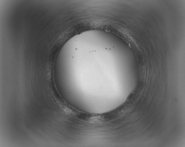 X0000068830505200605191902