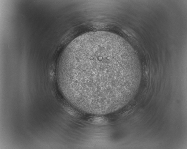 X0000068830507200605191902