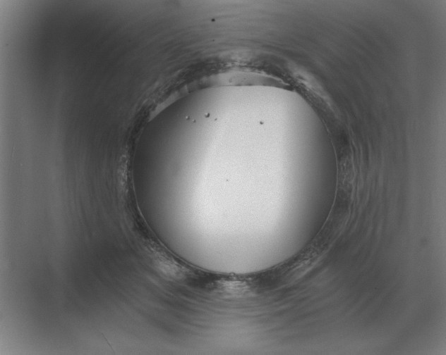 X0000068830509200605191902