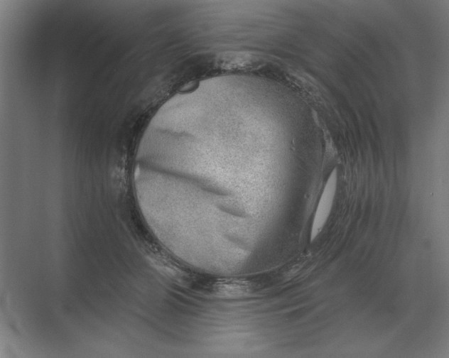 X0000068830510200605191902