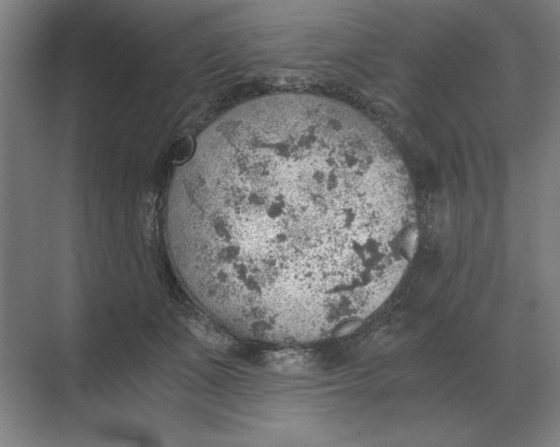 X0000068830511200605191902