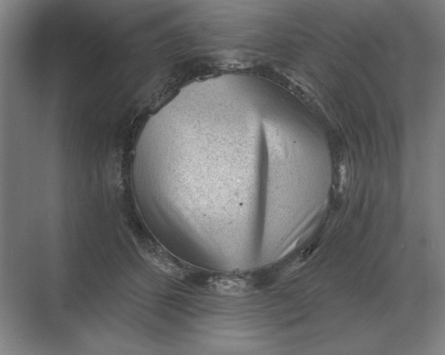 X0000068830512200605191902