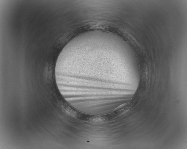 X0000068830513200605191902