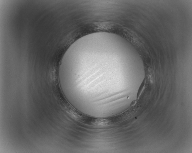 X0000068830514200605191902