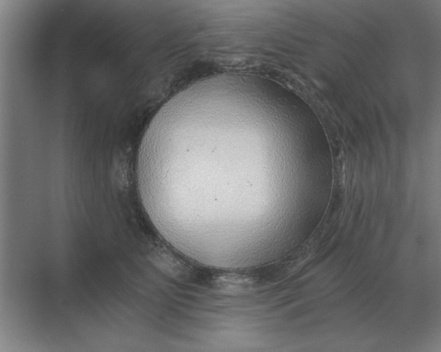 X0000068830515200605191902