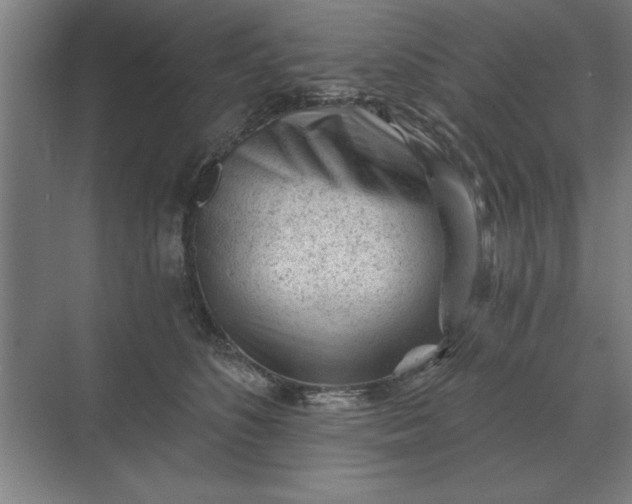 X0000068830516200605191902