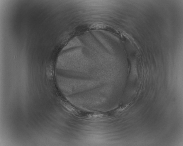 X0000068830517200605191902