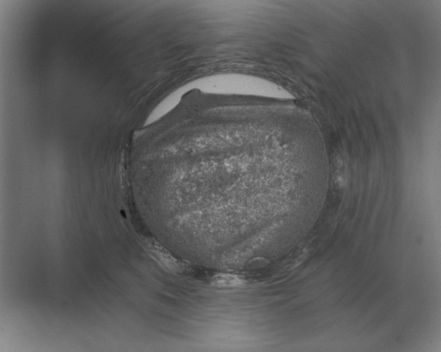 X0000068830519200605191902