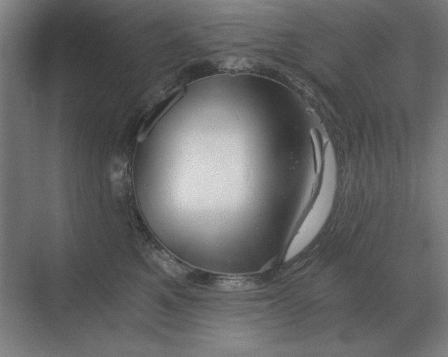 X0000068830521200605191902