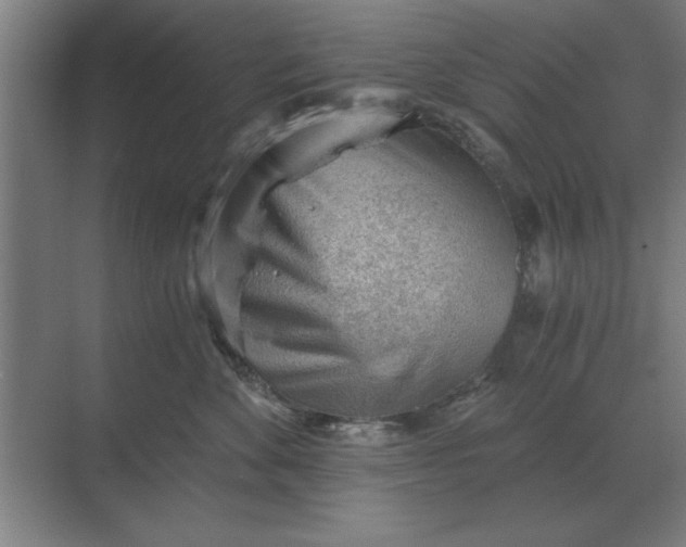 X0000068830524200605191902