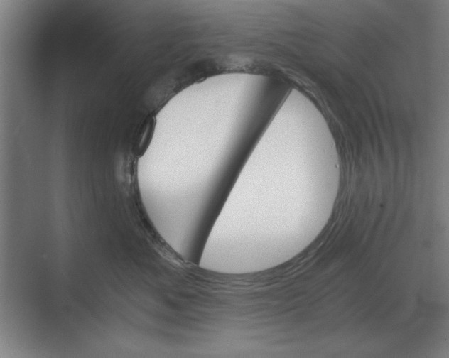 X0000068830525200605191902