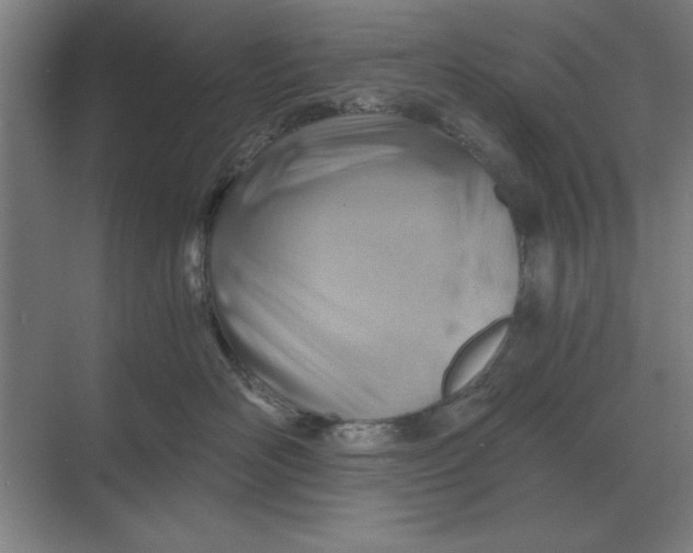 X0000068830526200605191902