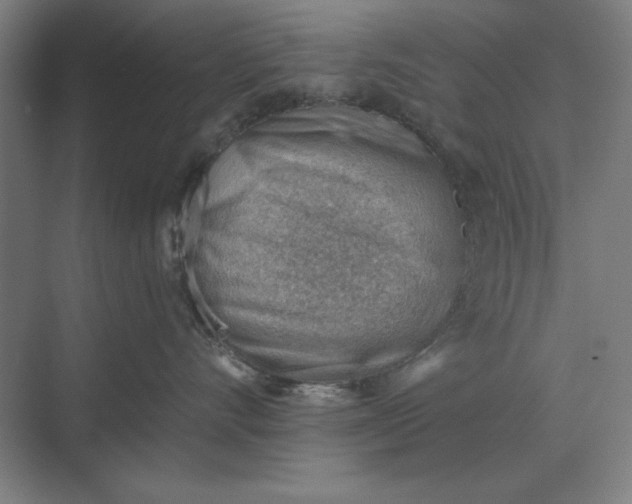 X0000068830528200605191902