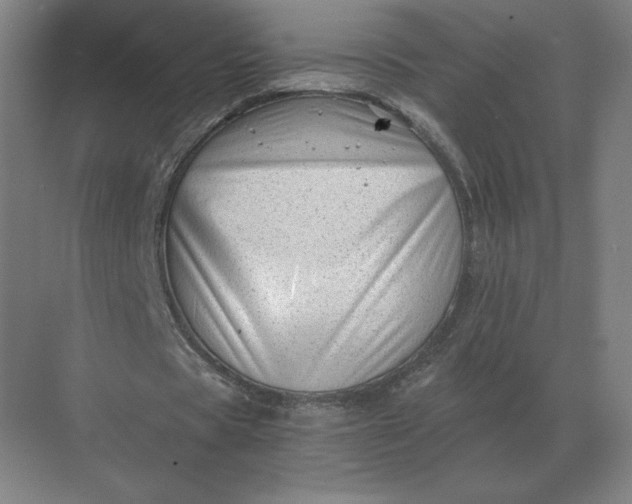 X0000068830529200605191901