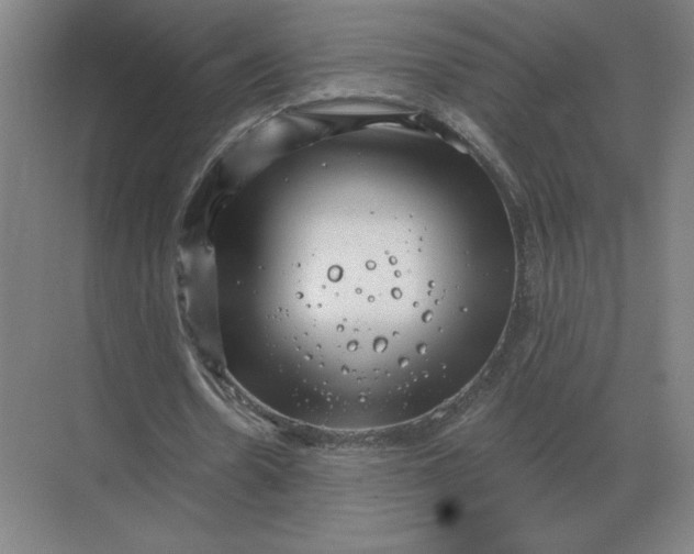 X0000068830530200605191901