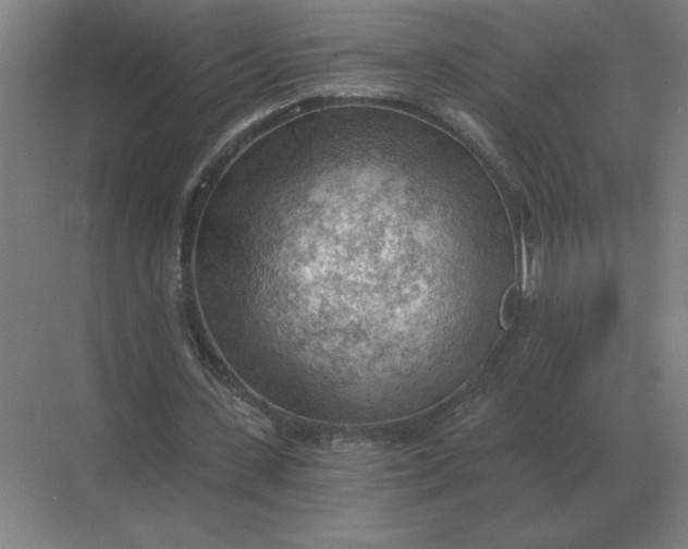 X0000068830531200605191901