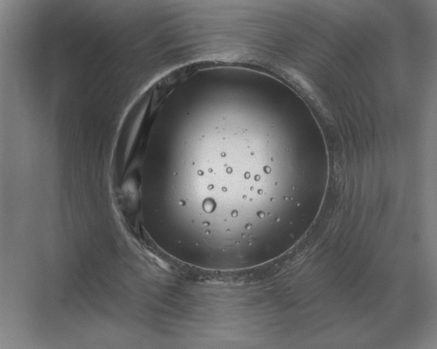 X0000068830532200605191901