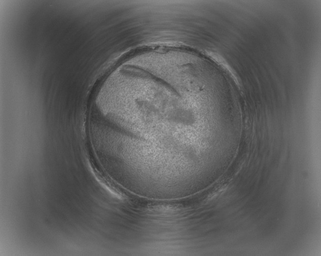 X0000068830533200605191901