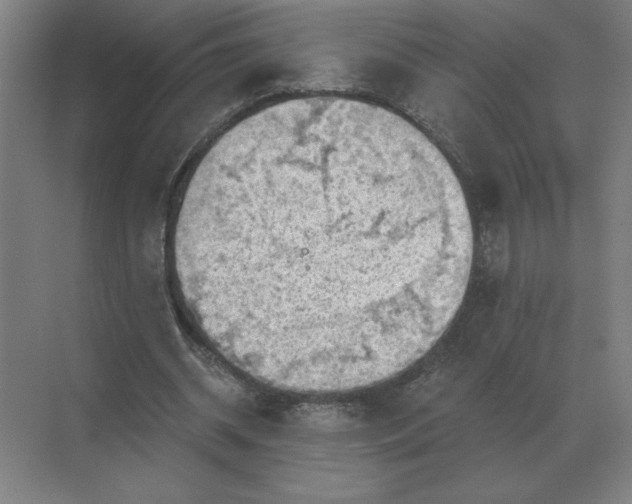 X0000068830534200605191901