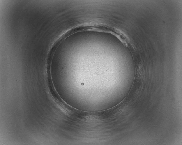 X0000068830535200605191901