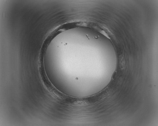 X0000068830536200605191901