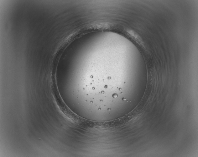 X0000068830538200605191901