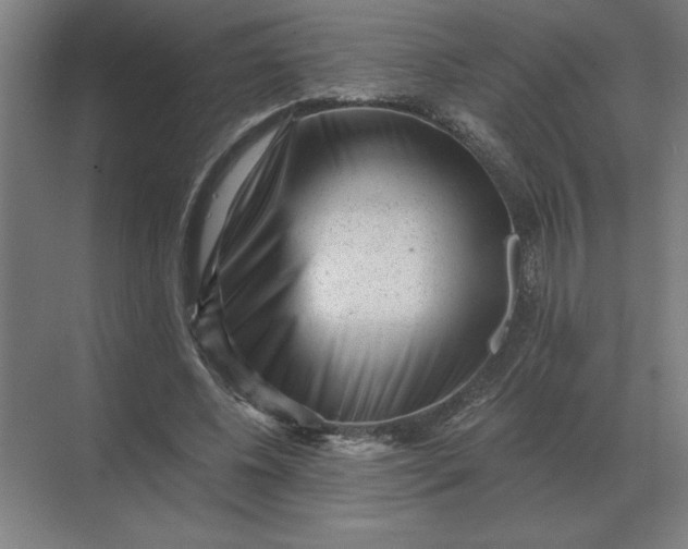 X0000068830540200605191901