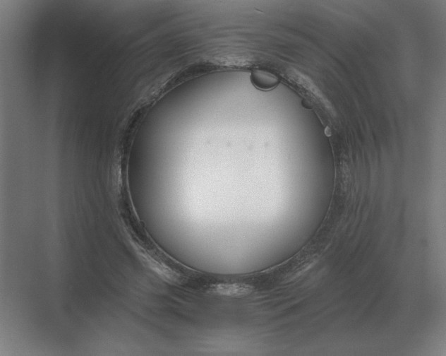 X0000068830541200605191901