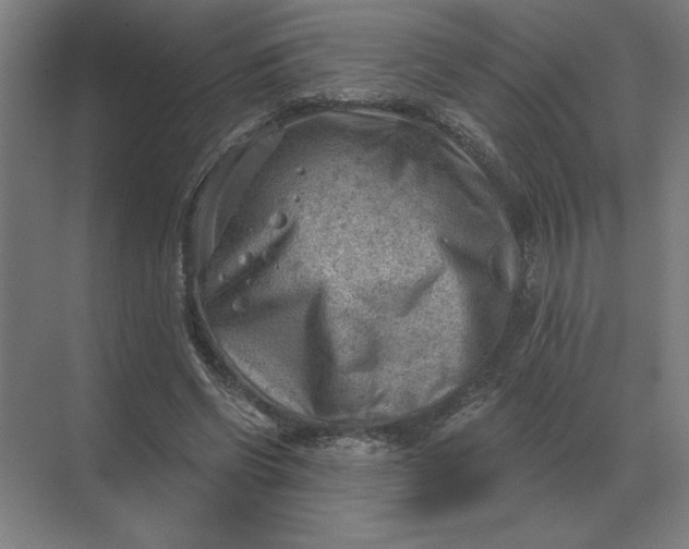 X0000068830542200605191901