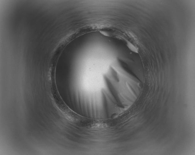 X0000068830543200605191901