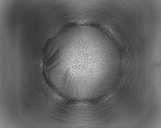 X0000068830545200605191901