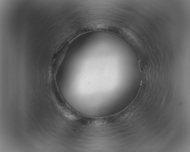 X0000068830546200605191901