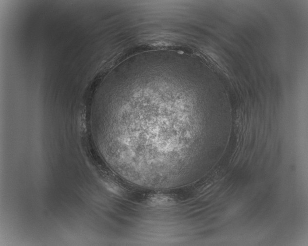 X0000068830547200605191901