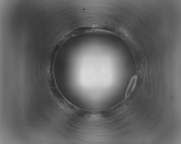 X0000068830548200605191901