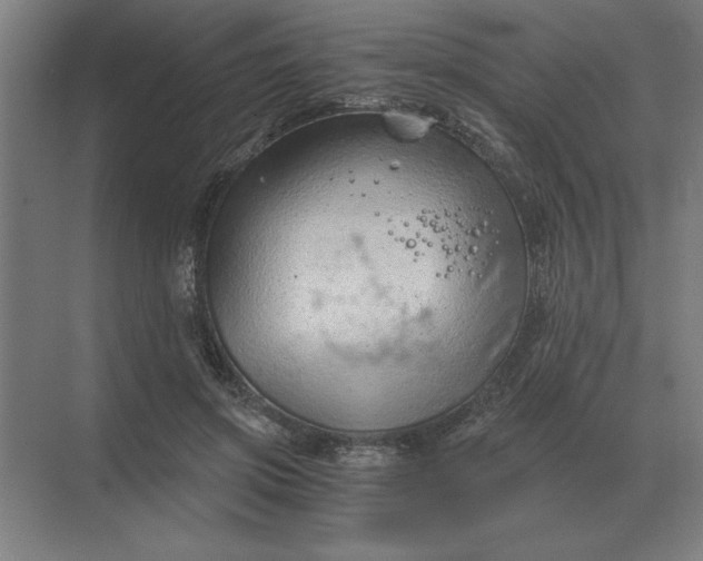 X0000068830549200605191901