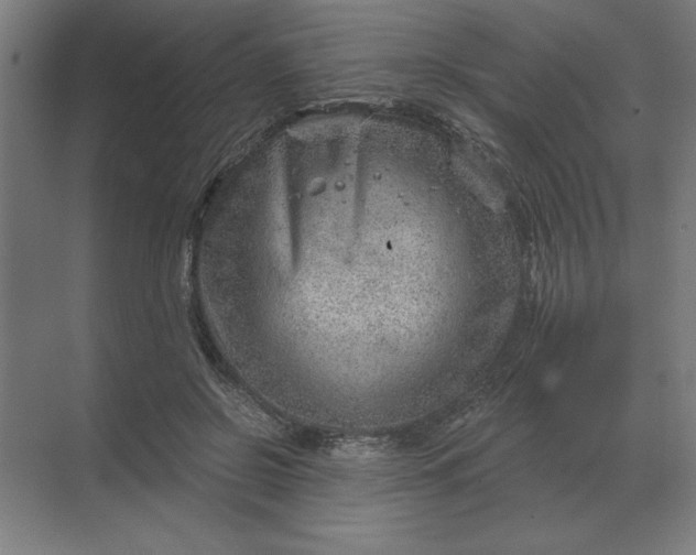 X0000068830550200605191901