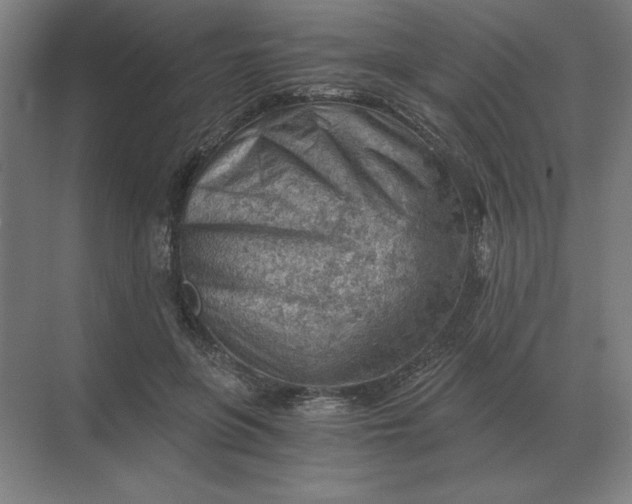 X0000068830551200605191902