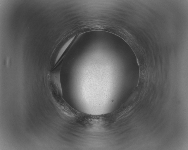 X0000068830552200605191902