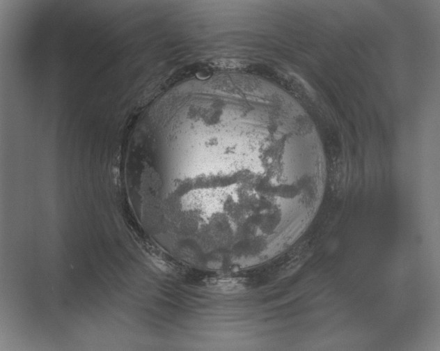 X0000068830553200605191902