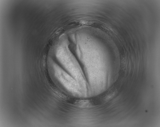 X0000068830554200605191902